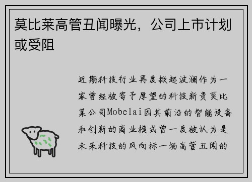 莫比莱高管丑闻曝光，公司上市计划或受阻